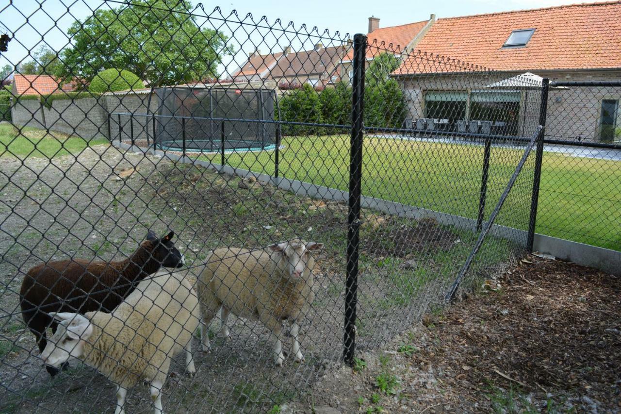 Vakantiewoning Den Landman Nieuwpoort Eksteriør billede